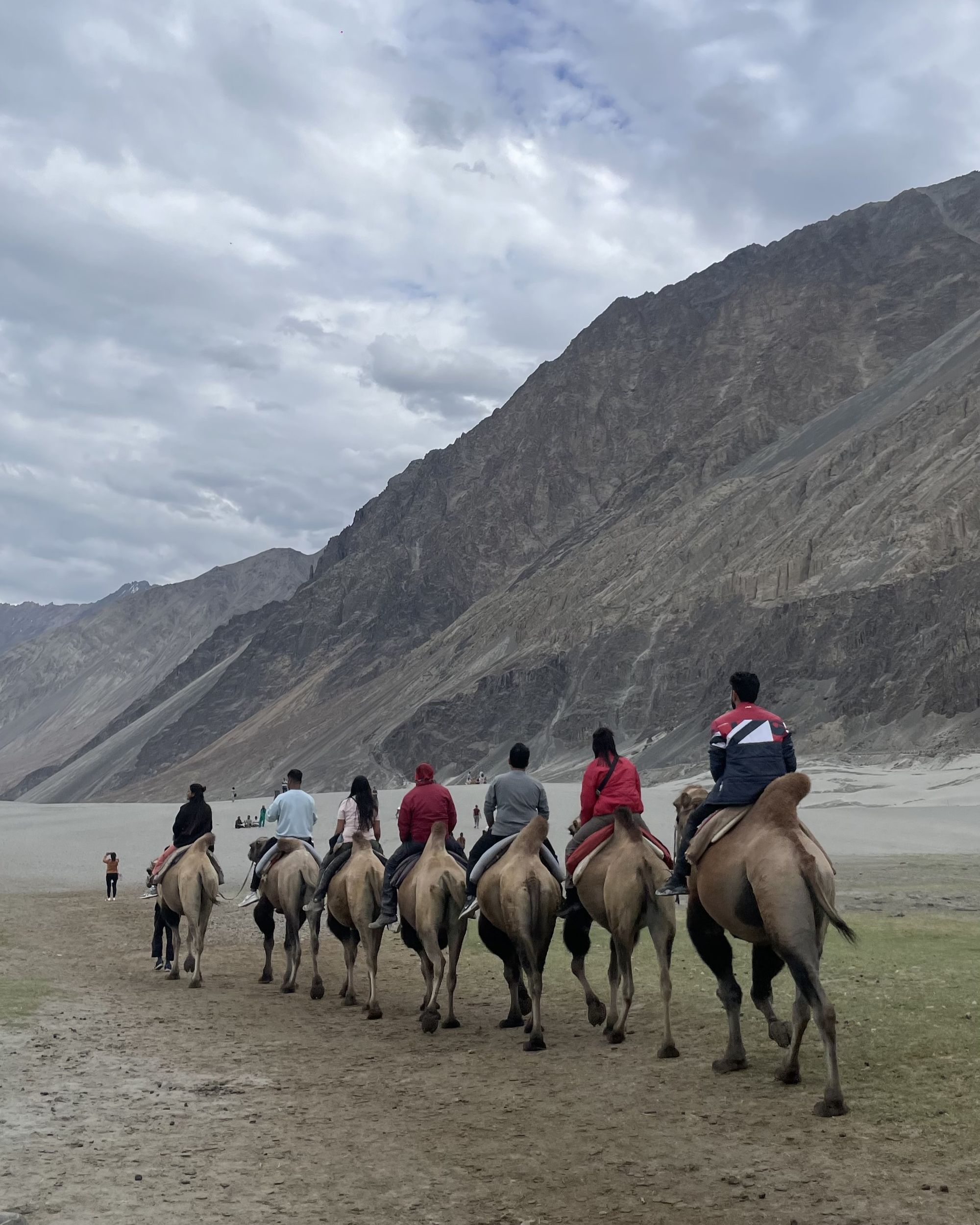 Camel Ride in Hunder