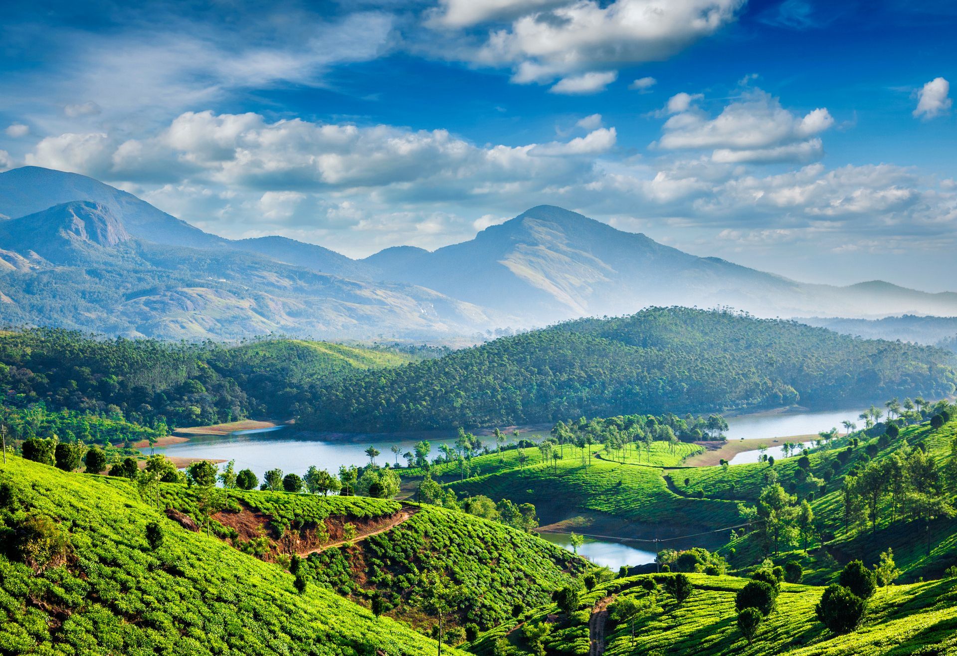 Munnar: A Journey Beyond the Tea Cups!