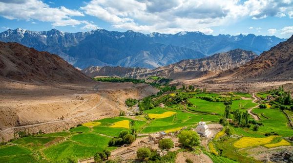 Rural Bliss: Exploring Turtuk, Ladakh's Best Kept Secret!